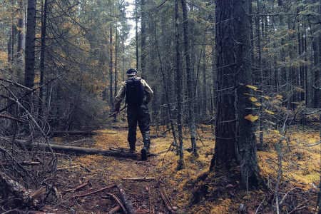 Купить диплом Егеря, лесника в Благовещенске
