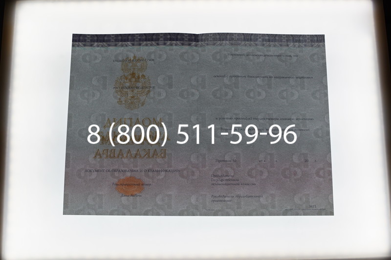 Заказать Диплом бакалавра (Киржач) 2014-2024 года в Благовещенске Заказать Диплом бакалавра (Киржач) 2014-2024 года в Благовещенске