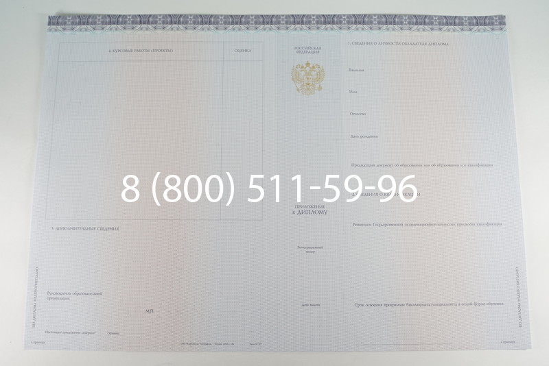 Диплом бакалавра (Киржач) 2014-2024 года в Благовещенске Диплом бакалавра (Киржач) 2014-2024 года в Благовещенске