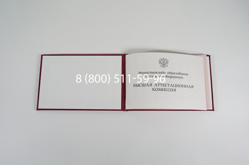 Диплом доктора наук 1995-2006 года в Благовещенске Диплом доктора наук 1995-2006 года в Благовещенске