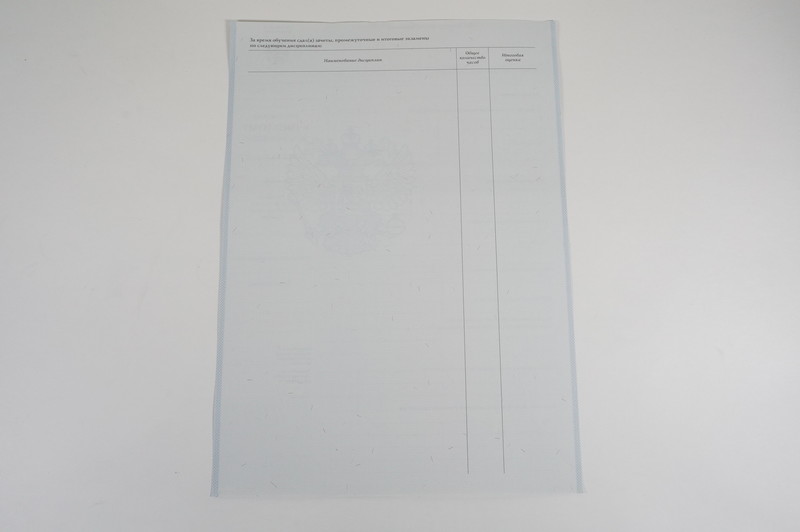 Диплом о начальном образовании 2007-2009 годов в Благовещенске Диплом о начальном образовании 2007-2009 годов в Благовещенске