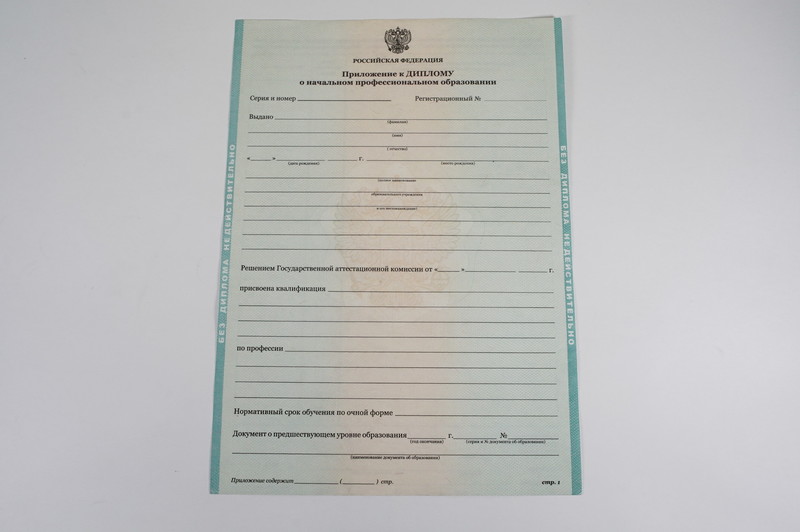 Диплом о начальном образовании 2010-2024 годов в Благовещенске Диплом о начальном образовании 2010-2024 годов в Благовещенске