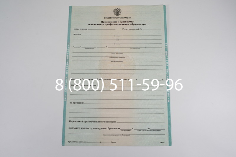 Диплом ПТУ 2014-2024 года в Благовещенске Диплом ПТУ 2014-2024 года в Благовещенске