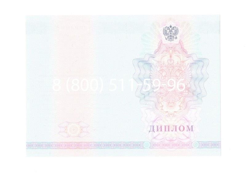 Заказать Диплом техникума 2007-2010 годов в Благовещенске Заказать Диплом техникума 2007-2010 годов в Благовещенске
