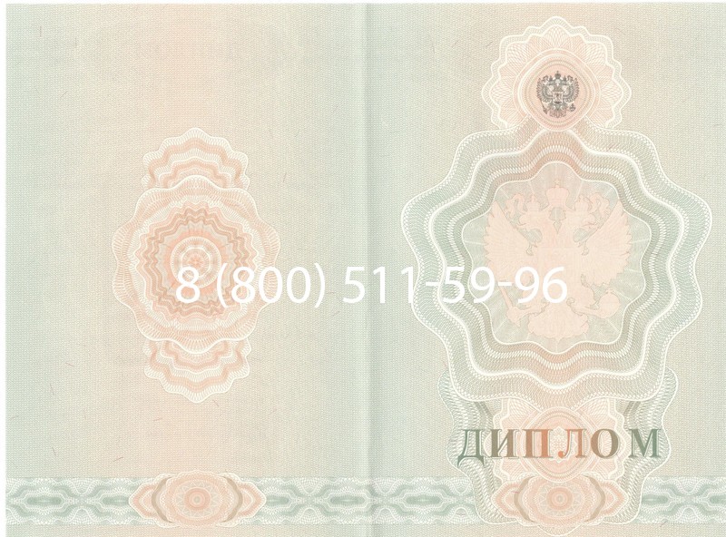 Купить Диплом училища 2007-2009 годов в Благовещенске Купить Диплом училища 2007-2009 годов в Благовещенске